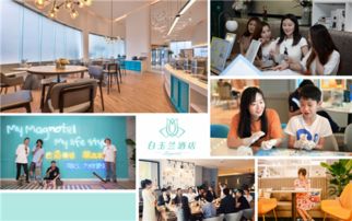 堅(jiān)持與消費(fèi)者共頻 白玉蘭品牌第五十家酒店華麗綻放的運(yùn)營(yíng)之道